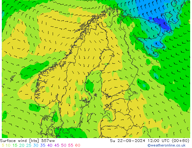 Bodenwind 557ww So 22.09.2024 12 UTC