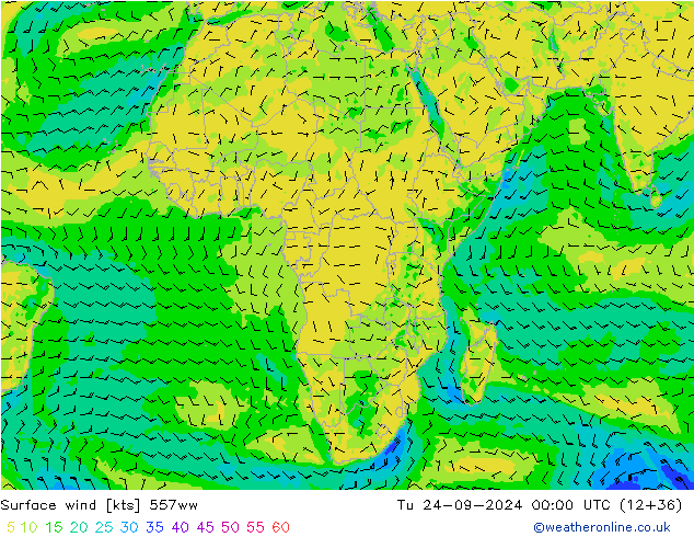 Surface wind 557ww Tu 24.09.2024 00 UTC