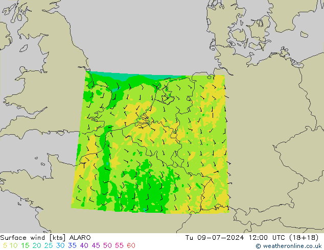 Wind 10 m ALARO di 09.07.2024 12 UTC