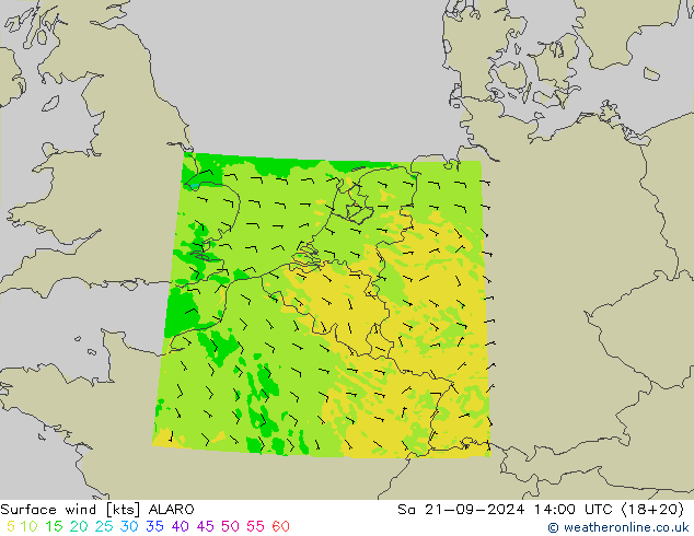 Surface wind ALARO Sa 21.09.2024 14 UTC