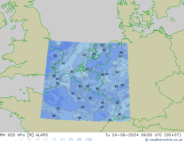 925 hPa Nispi Nem ALARO Sa 24.09.2024 09 UTC