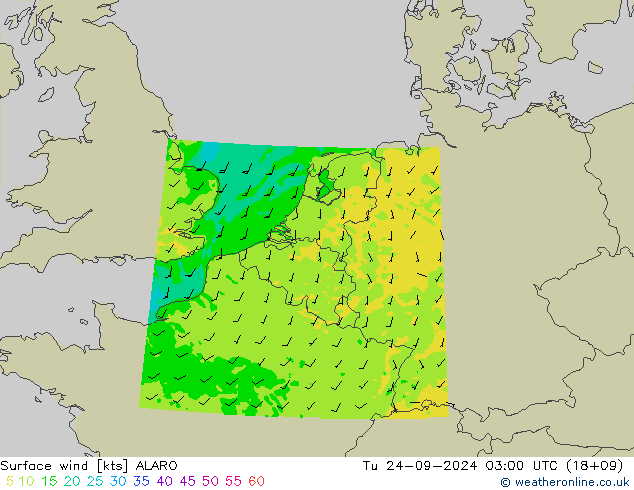 Wind 10 m ALARO di 24.09.2024 03 UTC