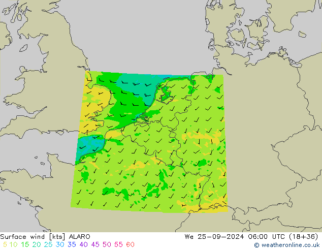 Surface wind ALARO We 25.09.2024 06 UTC