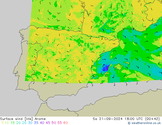 Bodenwind Arome Sa 21.09.2024 18 UTC