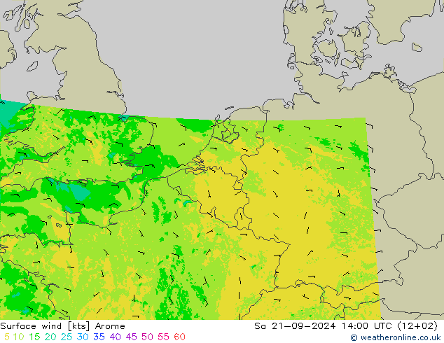 风 10 米 Arome 星期六 21.09.2024 14 UTC