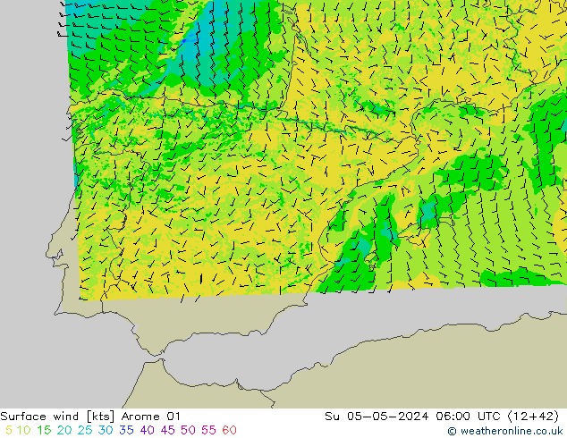 Rüzgar 10 m Arome 01 Paz 05.05.2024 06 UTC