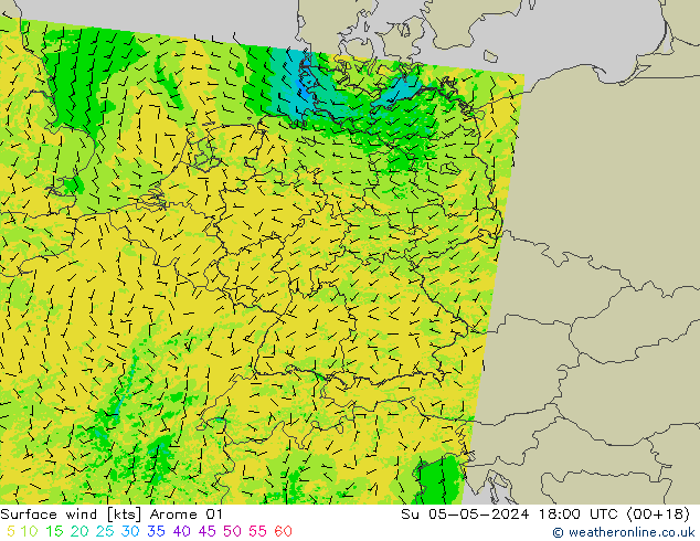 Wind 10 m Arome 01 zo 05.05.2024 18 UTC