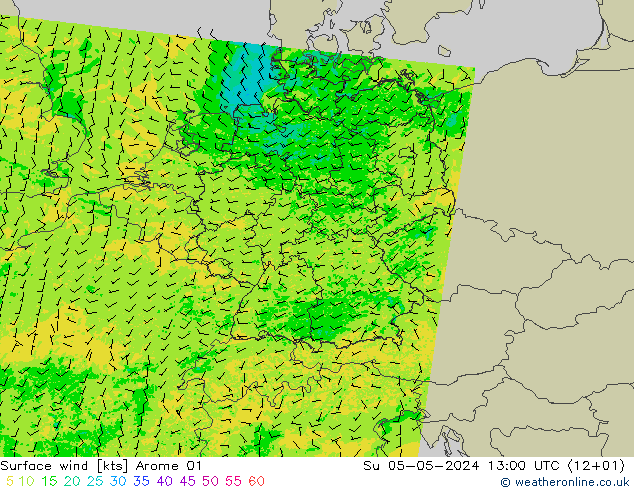 风 10 米 Arome 01 星期日 05.05.2024 13 UTC