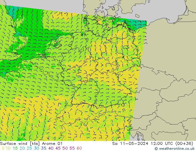 Wind 10 m Arome 01 za 11.05.2024 12 UTC