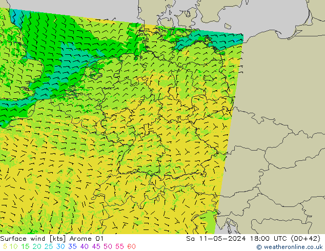 Wind 10 m Arome 01 za 11.05.2024 18 UTC