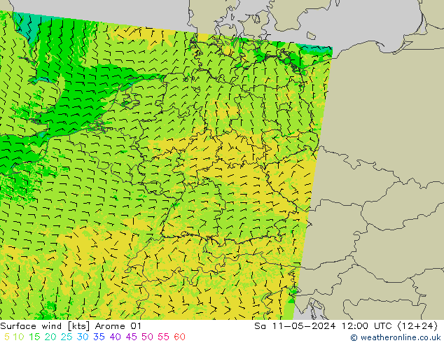Bodenwind Arome 01 Sa 11.05.2024 12 UTC