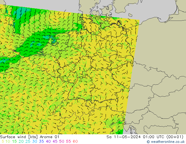 Surface wind Arome 01 Sa 11.05.2024 01 UTC