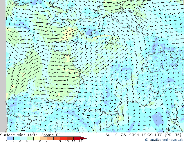 Surface wind (bft) Arome 01 Ne 12.05.2024 12 UTC