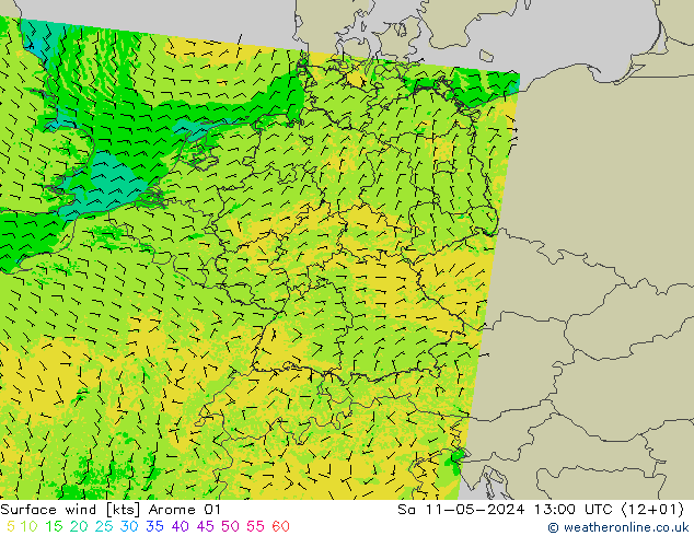 Surface wind Arome 01 Sa 11.05.2024 13 UTC