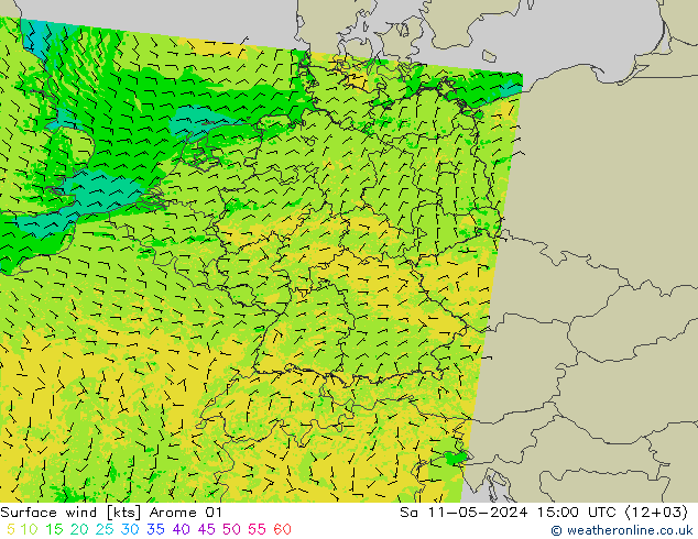 风 10 米 Arome 01 星期六 11.05.2024 15 UTC