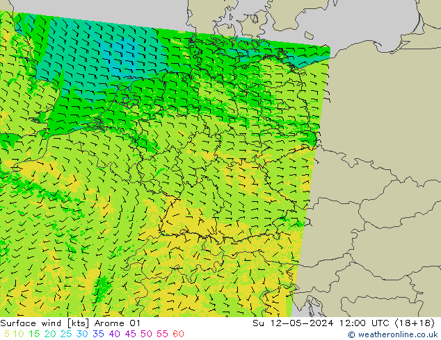 Surface wind Arome 01 Su 12.05.2024 12 UTC