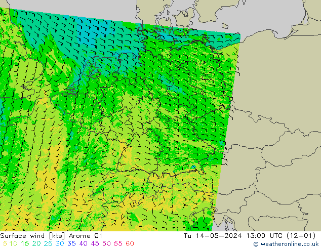 风 10 米 Arome 01 星期二 14.05.2024 13 UTC