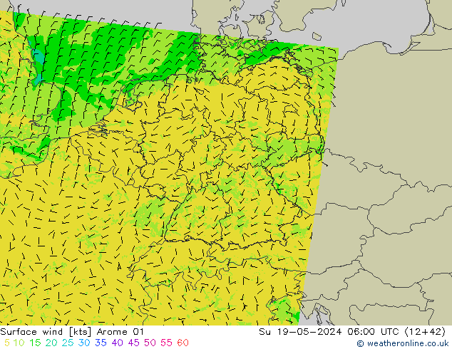 Wind 10 m Arome 01 zo 19.05.2024 06 UTC