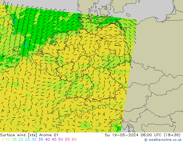 Bodenwind Arome 01 So 19.05.2024 06 UTC