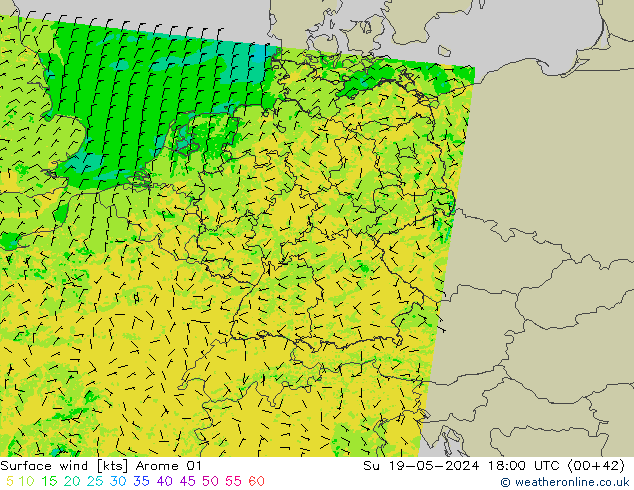 Rüzgar 10 m Arome 01 Paz 19.05.2024 18 UTC