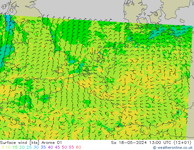 Bodenwind Arome 01 Sa 18.05.2024 13 UTC