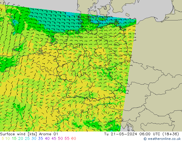 Surface wind Arome 01 Tu 21.05.2024 06 UTC