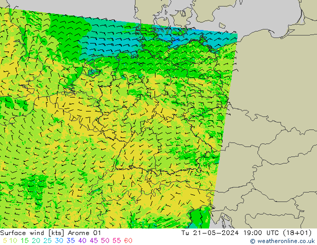 Rüzgar 10 m Arome 01 Sa 21.05.2024 19 UTC