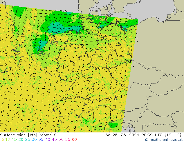 Bodenwind Arome 01 Sa 25.05.2024 00 UTC