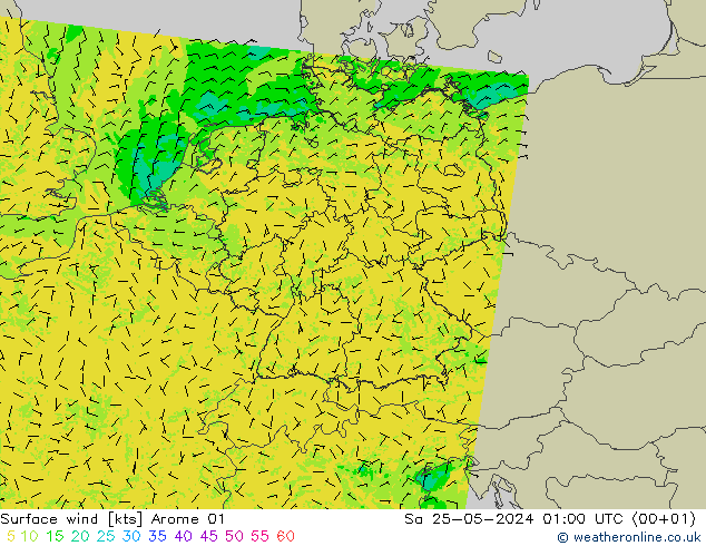 Vento 10 m Arome 01 sab 25.05.2024 01 UTC