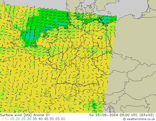 Vent 10 m Arome 01 sam 25.05.2024 05 UTC