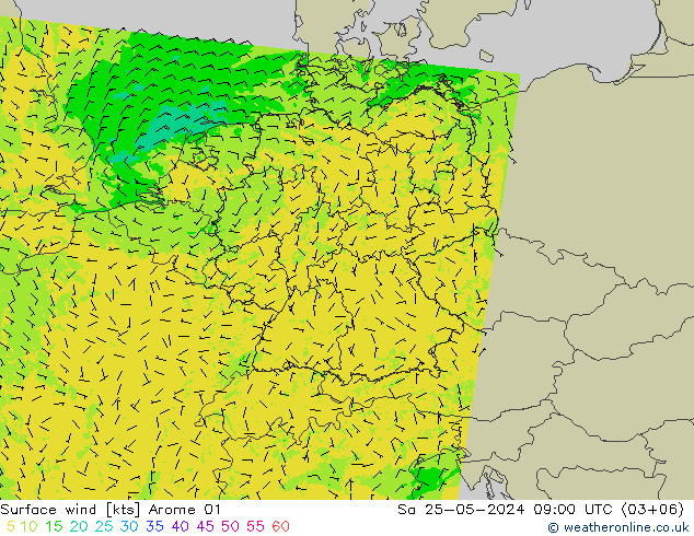 wiatr 10 m Arome 01 so. 25.05.2024 09 UTC