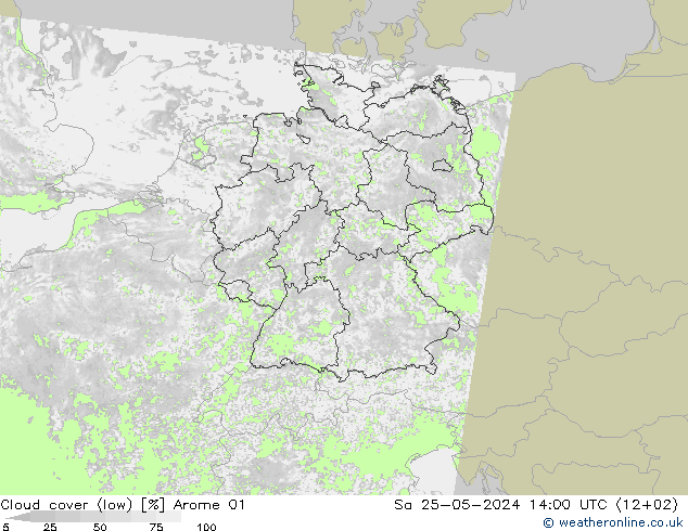 zachmurzenie (niskie) Arome 01 so. 25.05.2024 14 UTC