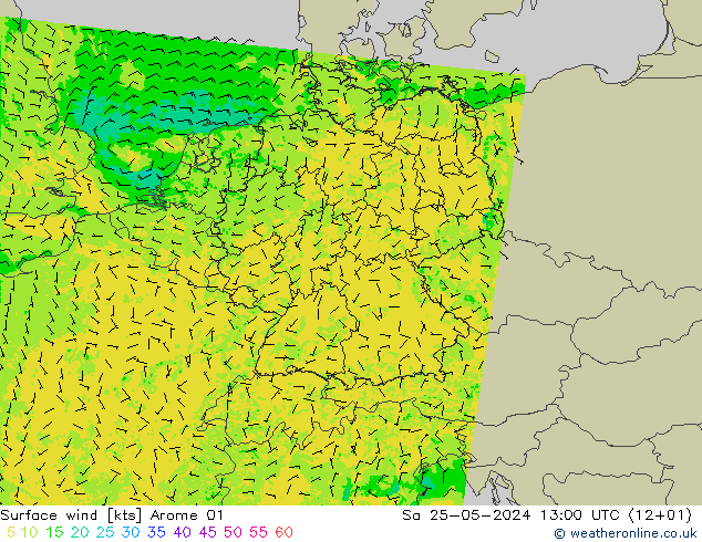Wind 10 m Arome 01 za 25.05.2024 13 UTC