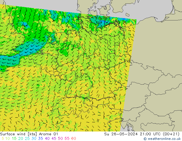 风 10 米 Arome 01 星期日 26.05.2024 21 UTC