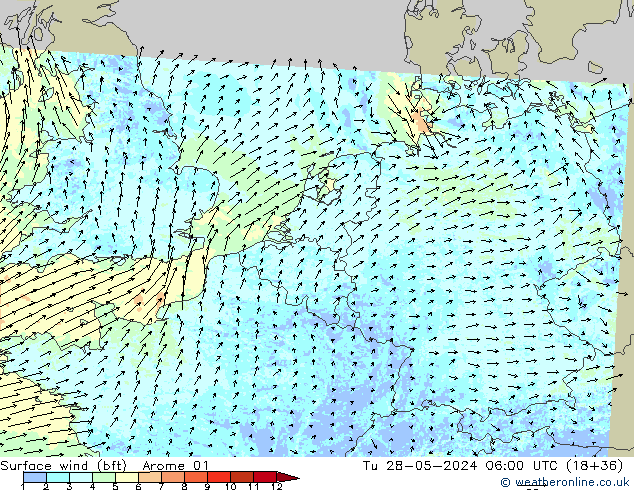 Vento 10 m (bft) Arome 01 Ter 28.05.2024 06 UTC