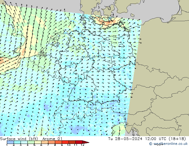 Vento 10 m (bft) Arome 01 Ter 28.05.2024 12 UTC