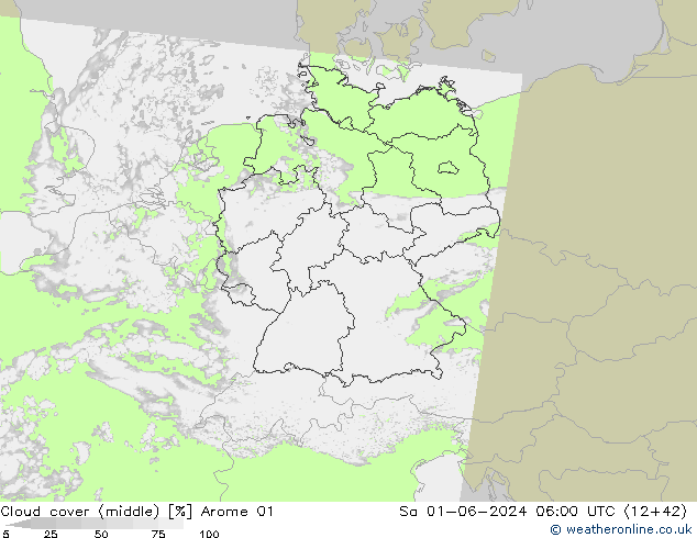 Cloud cover (middle) Arome 01 Sa 01.06.2024 06 UTC