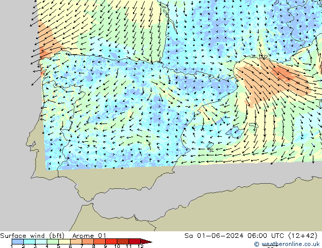 Surface wind (bft) Arome 01 So 01.06.2024 06 UTC