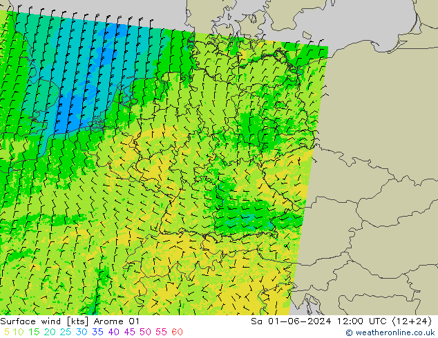 Wind 10 m Arome 01 za 01.06.2024 12 UTC