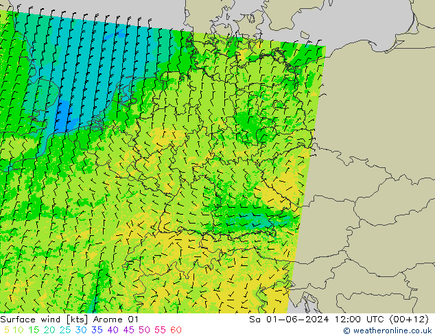 Bodenwind Arome 01 Sa 01.06.2024 12 UTC