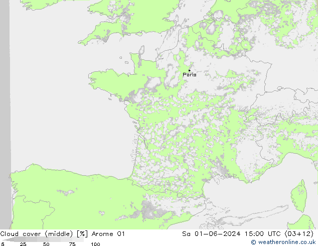 Cloud cover (middle) Arome 01 Sa 01.06.2024 15 UTC