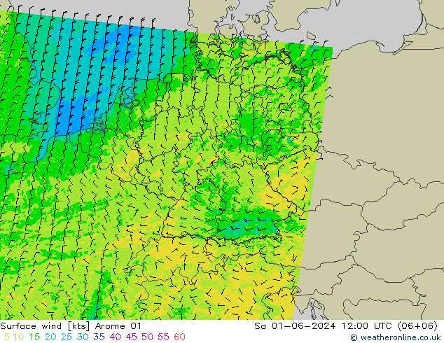 Surface wind Arome 01 Sa 01.06.2024 12 UTC