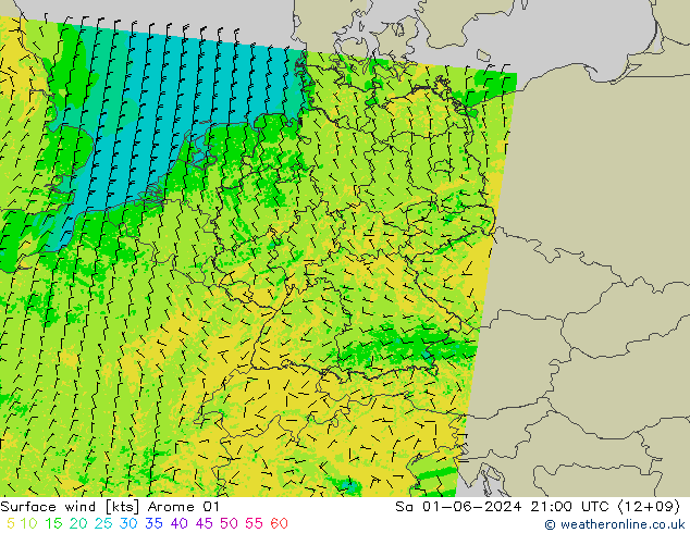 Surface wind Arome 01 Sa 01.06.2024 21 UTC