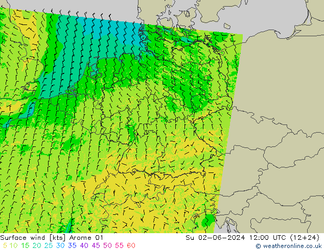 Surface wind Arome 01 Su 02.06.2024 12 UTC