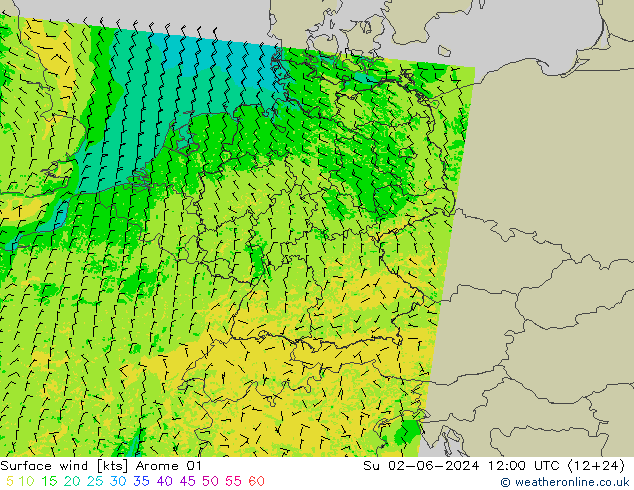 Vento 10 m Arome 01 Dom 02.06.2024 12 UTC