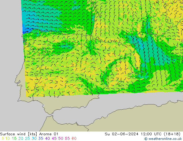 Vento 10 m Arome 01 Dom 02.06.2024 12 UTC