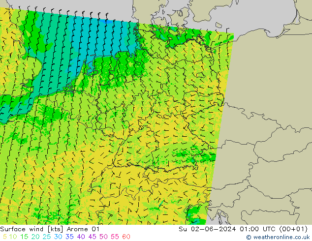 Rüzgar 10 m Arome 01 Paz 02.06.2024 01 UTC