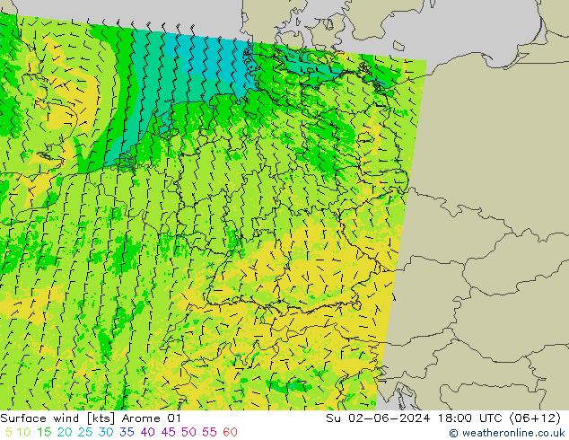 Rüzgar 10 m Arome 01 Paz 02.06.2024 18 UTC