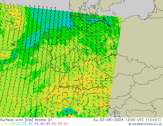 Surface wind Arome 01 Ne 02.06.2024 13 UTC