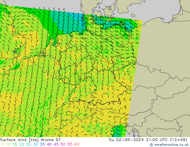 Rüzgar 10 m Arome 01 Paz 02.06.2024 21 UTC